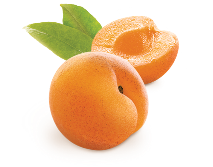 apricot